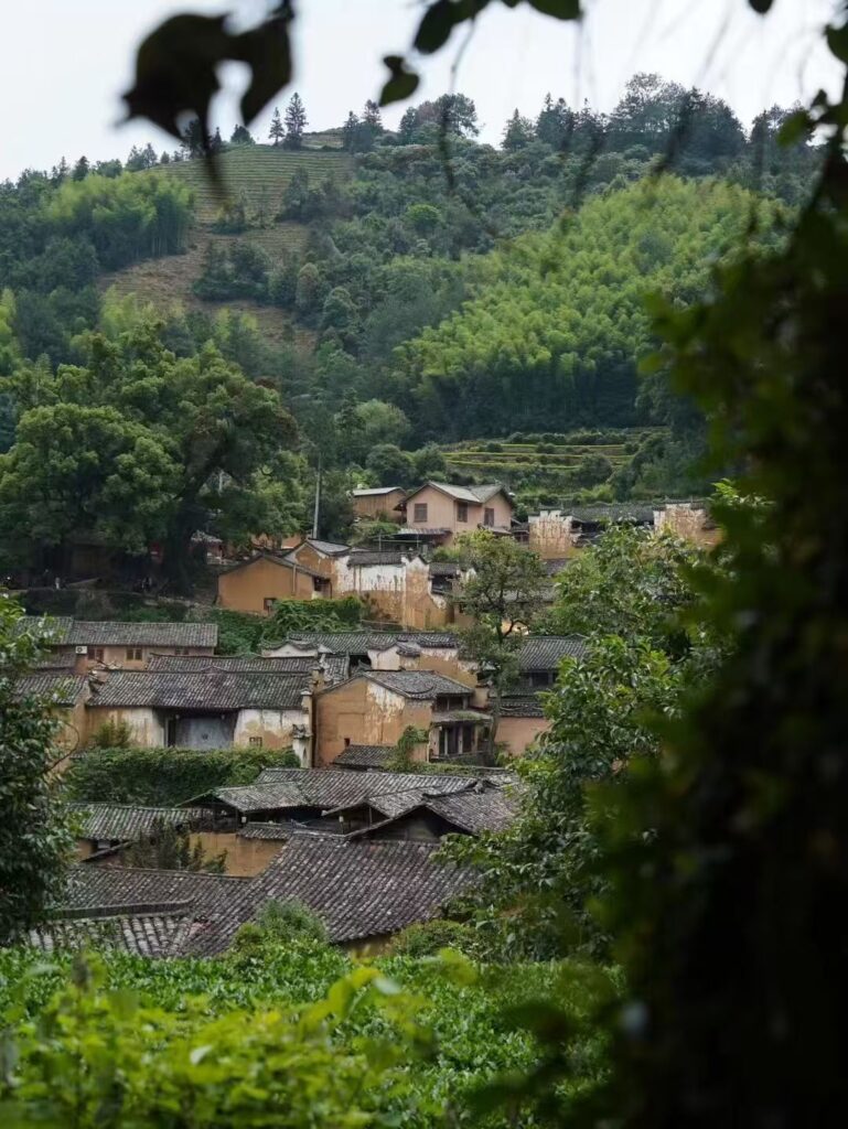 Discovering unique quiet beauty in the serene mountains, inspired by nature