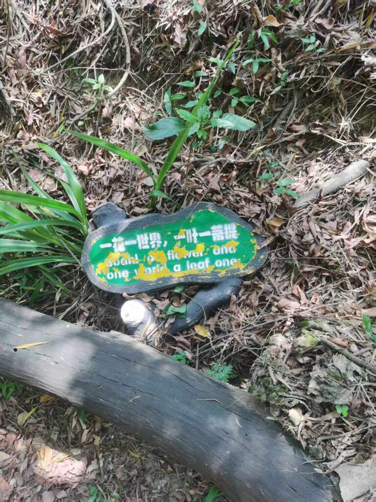 One flower, one world; one leaf, one Bodhi