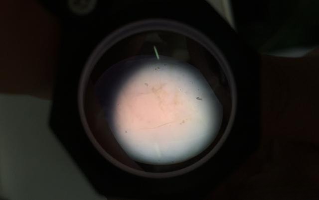 Microscopic view of natural Brazilian purple agate showing typical cryptocrystalline structure