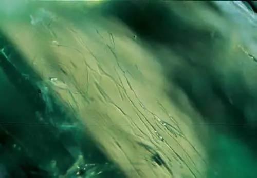 Colorless oil flowing inside fissures of an emerald gemstone, showing clarity enhancement in natural cracks in this Emerald Buying Guide