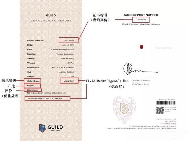 GUILD-issued ruby certificate showing Vivid Red notation with Pigeon's Blood trade note