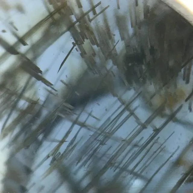 A magnified, close-up image of needle-like inclusions inside a chrysoberyl gemstone. Under magnification, you can see numerous thin, parallel crystal needles, which are responsible for creating the cat's eye optical effect.