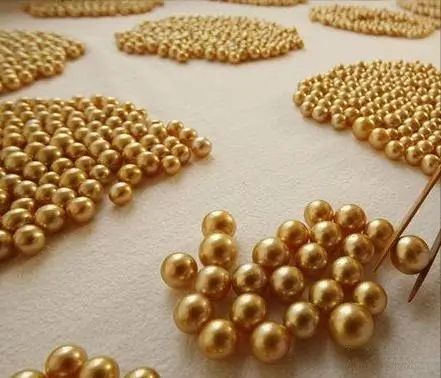 Close-up of a South Sea Golden Pearl from the Philippines showing rich golden color and lustrous surface