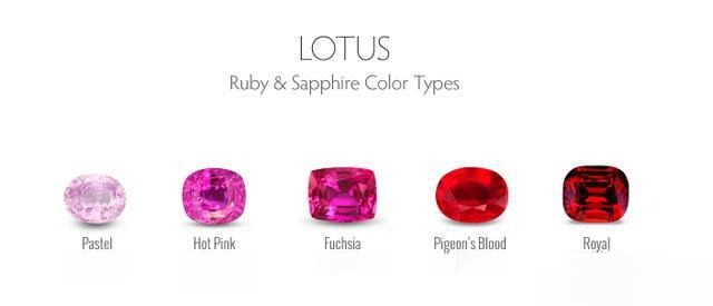 Five ruby color types defined by Lotus Gemology: Pastel, Hot Pink, Fuchsia, Pigeon's Blood, and Royal Red.