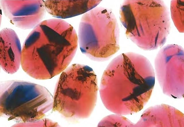 Vietnam Pink Sapphires showing color areas more clearly under diiodomethane