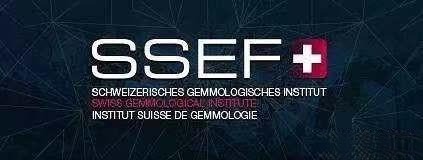 SSEF Swiss Gemmological Institute logo
