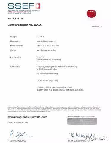 SSEF certificate showing the new ruby grading standards