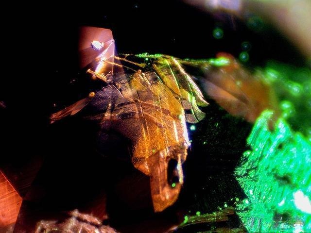 Microscope view of a Vietnamese sapphire showing yellow-orange inclusions inside the stone.