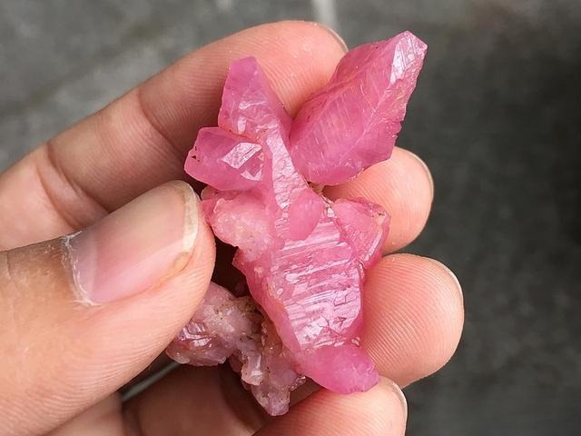 Hand holding a Vietnamese ruby crystal rough collected for a client, showing beautiful intergrown patterns and high value.