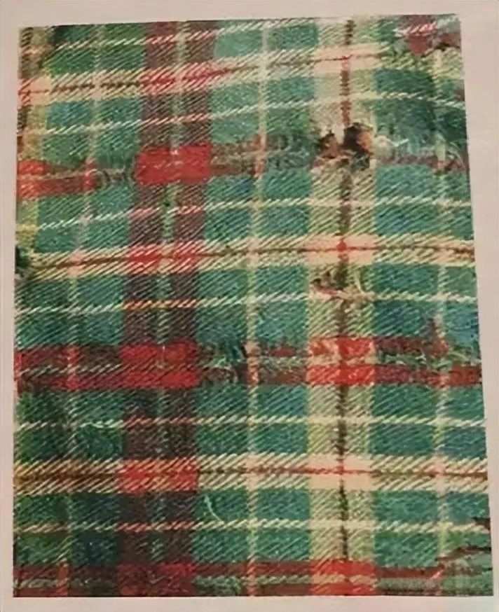 An illustration of a xie he (a type of garment) from the Western Zhou period, featuring a striking red and green diagonal checkered pattern. The design highlights the geometric beauty and unique oblique style of textiles from that era.