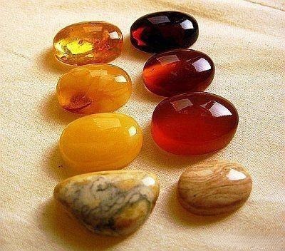 Beewax gemstones, fossilized resin from gymnosperm or leguminous plants, showcasing natural beauty and unique textures.