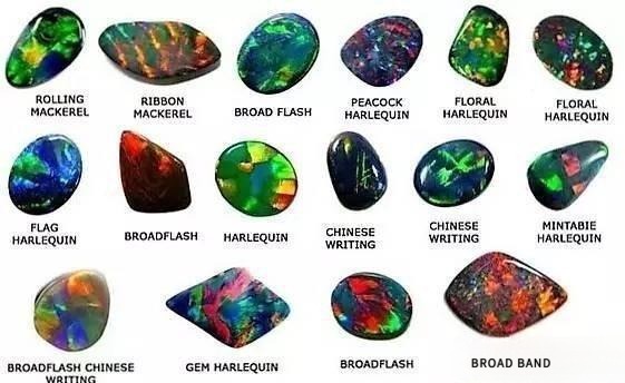 Collection of black opals showcasing vibrant play-of-color and striking appearance, prized as the gemstone world's "painter's palette".