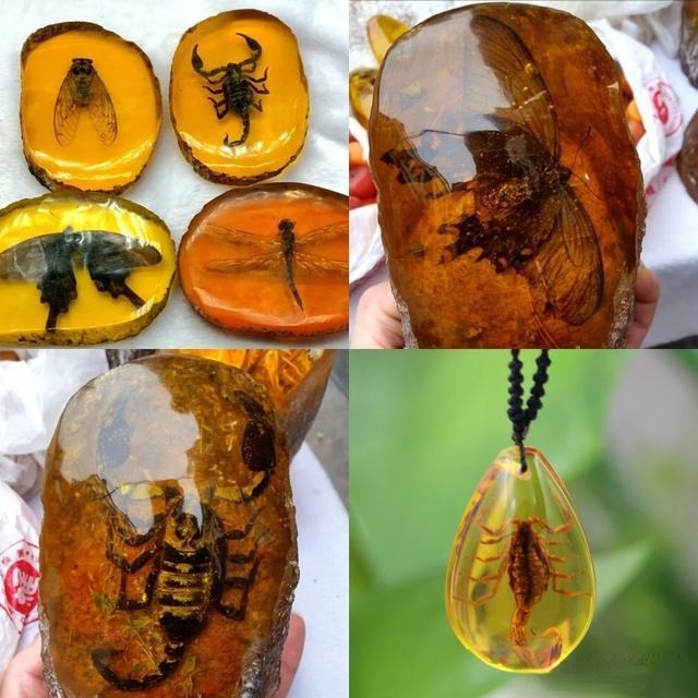 Fake insect amber containing a scorpion or cicada, appearing lifelike and realistic, commonly seen in craft shops and markets as imitation specimens.