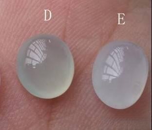 Hand-held comparison of two round jadeite cabochons: one appears clean and clear with no cotton, the other reveals subtle cotton fibers inside, illustrating natural A-jade characteristics.