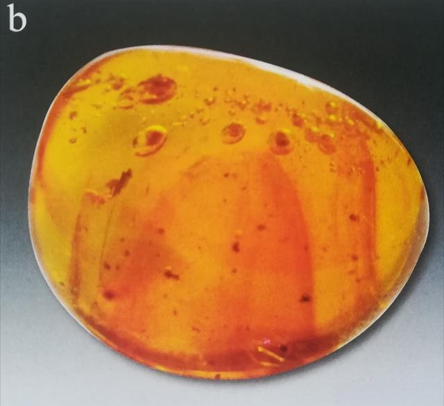 Close-up showing gas and liquid inclusions inside amber, revealing its intricate internal structures.
