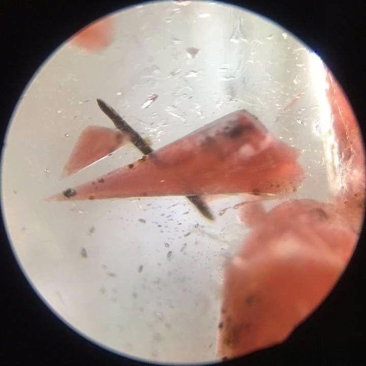 Microscopic view of quartz crystal inclusions revealing intricate internal structures and natural patterns