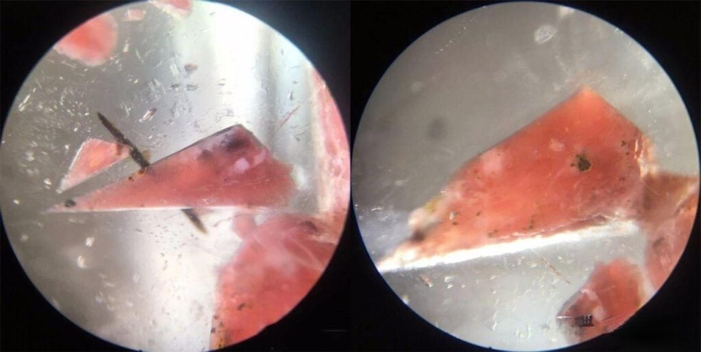 Microscopic view of quartz crystal containing a rare single rhodochrosite crystal, resembling a chilled watermelon slice or red and pink flowers in a snowy landscape