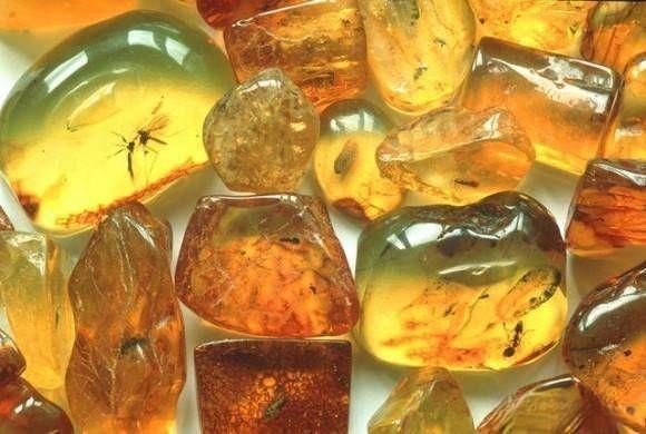Real insect amber circulating in the market, featuring a perfectly preserved insect within fossilized resin, showcasing natural inclusions and authentic coloration.
