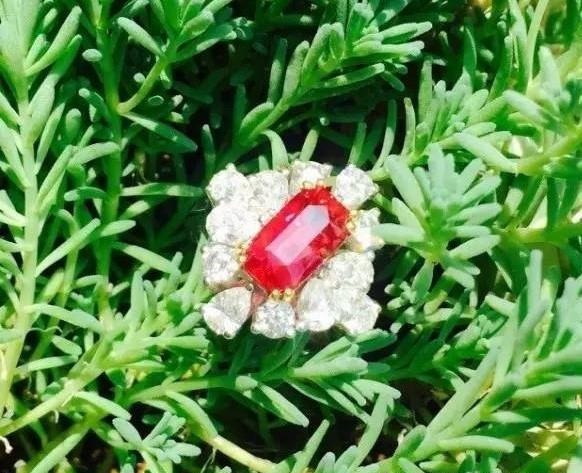 Ruby ring in natural outdoor light, showing how rubies with strong fluorescence appear more vivid to the naked eye due to UV light in sunlight.