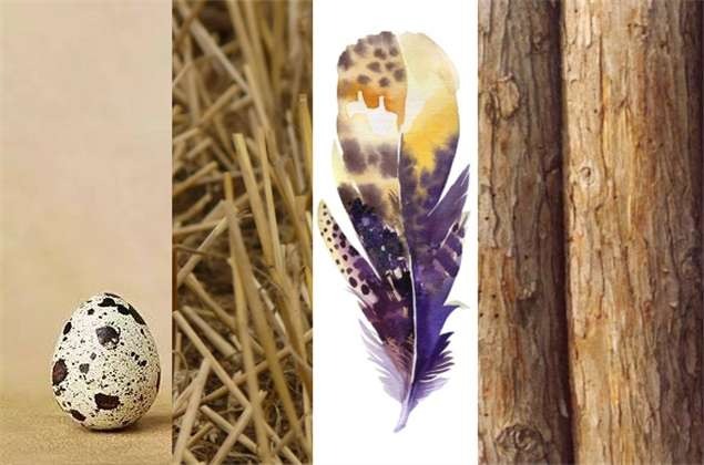 Materials used in wood marquetry in watchmaking including wood, feathers, quail eggshells, and straw