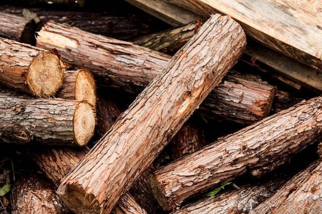Wood pieces used in watchmaking, showing different colors and textures for inlay work