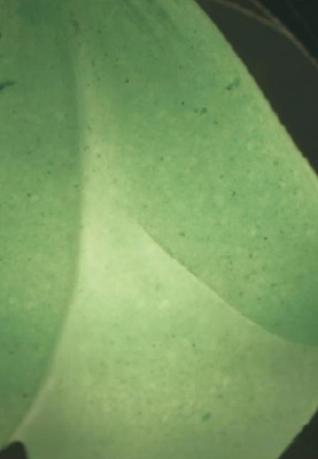 Dulong Jade Under Microscope - Granular structure with layered color distribution and color roots, showcasing the natural green mica inclusions and pyrite spots.
