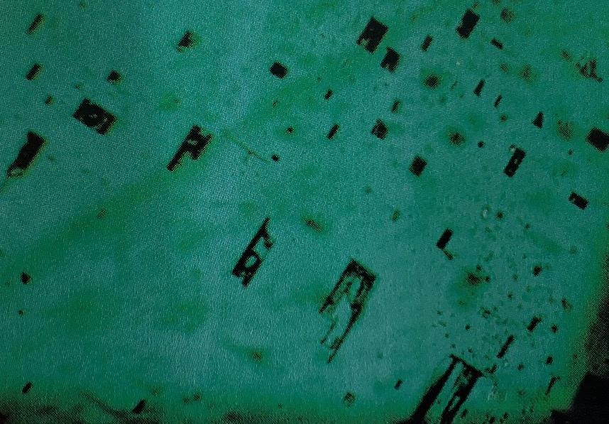 Microscopic view of an emerald showing characteristic internal flaws: comma-shaped negative crystals and empty fluid-filled cavities (inclusions).