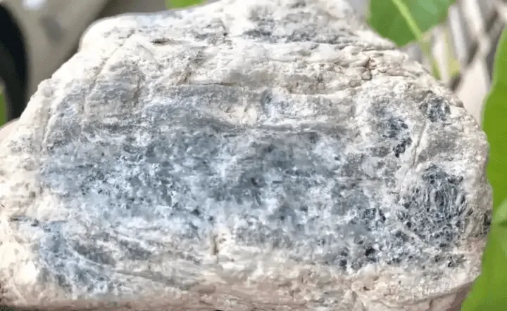 Jadeite rough stone showing wu layer — a misty opaque zone between the weathered rind and the jade core, indicating potential green color formation.