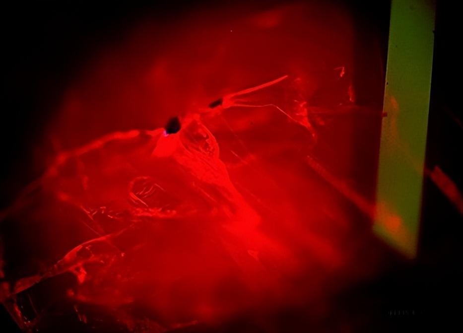 Microscopic view of filler material inside a ruby fissure, demonstrating the improvement in clarity, transparency, and luster.