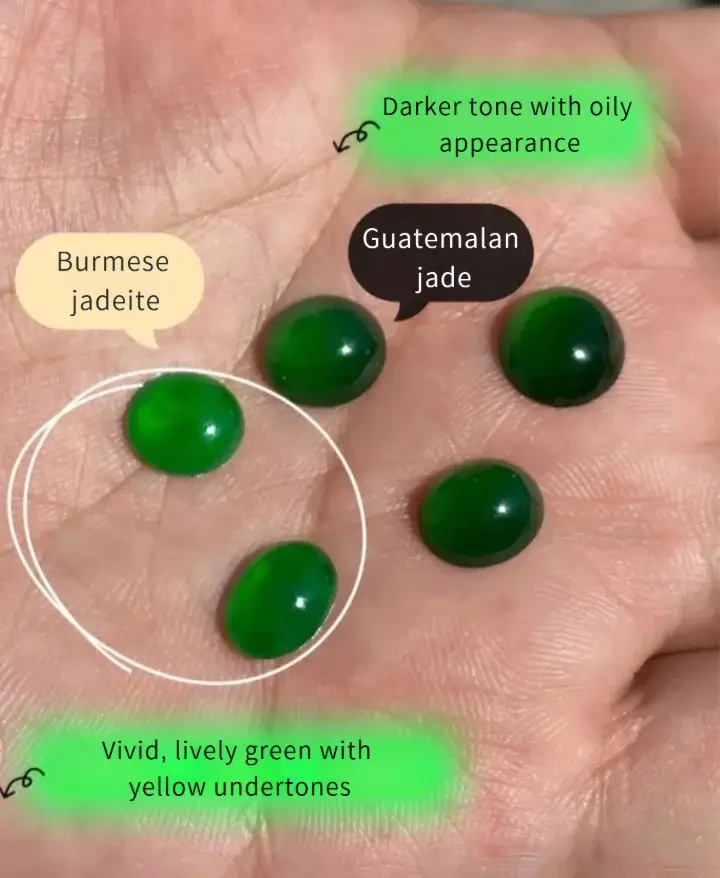 Color comparison between Guatemalan jadeite cabochon and Burmese Imperial Green jade cabochon under neutral lighting.