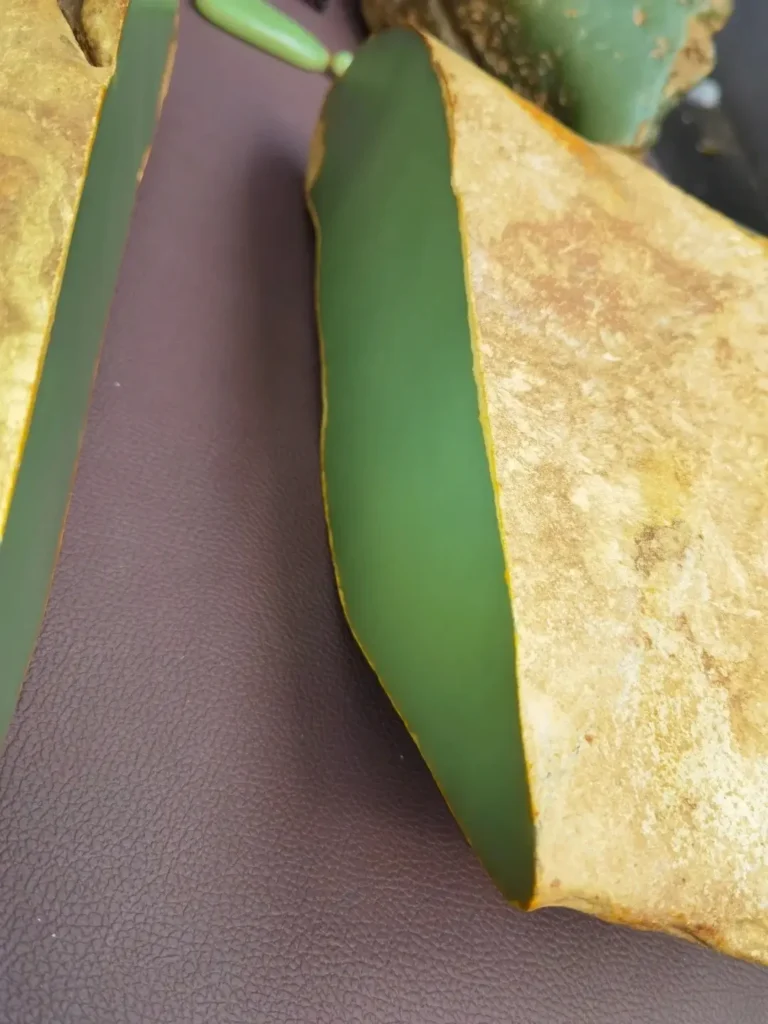 Cut Tremolite River Jade (He Mo Yu) showing smooth texture and fine, oil-rich luster.