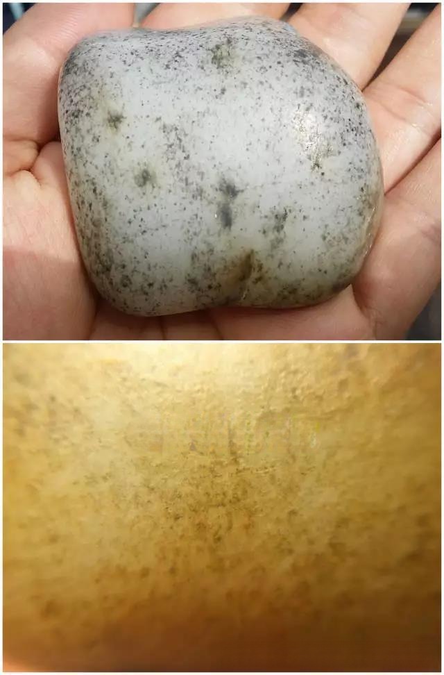 Hand holding Ziyu stone with black, pinpoint 'Oil Tank Skin' on its base, illustrating an intermediate skin development stage.
