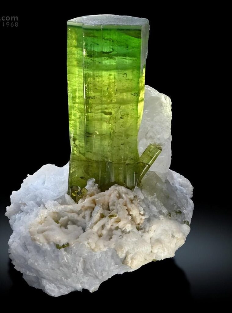 Vibrant columnar borosilicate tourmaline crystals from Afghanistan exhibiting high luster and saturation.