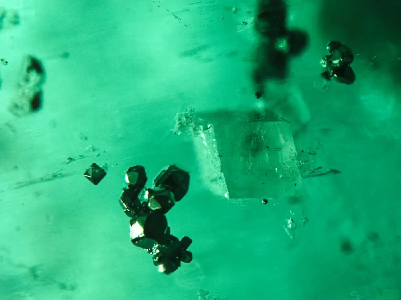 Microscopic serrated three-phase inclusion in Colombian emerald with a gas bubble and salt crystal.