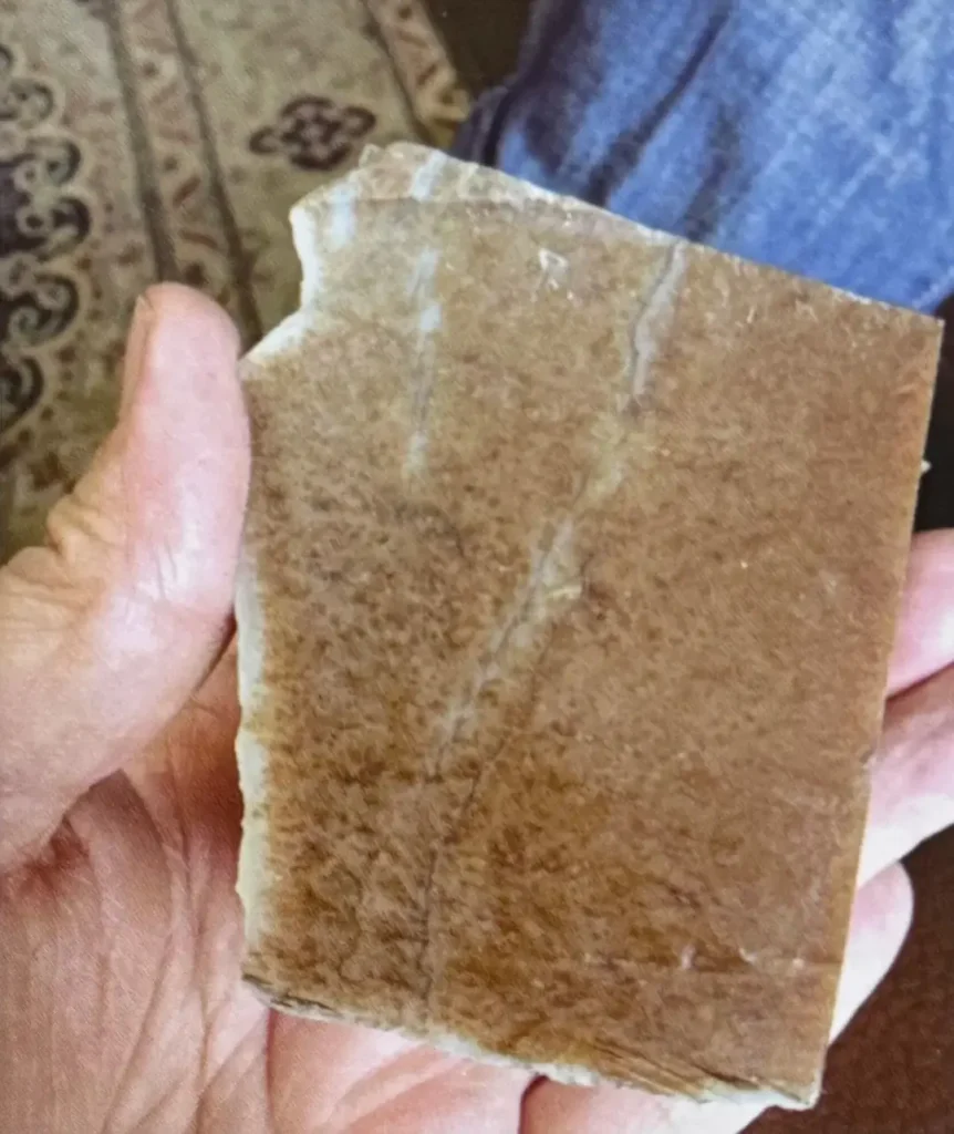 Raw Sugar Jade showing secondary color infiltration from the outer crust.