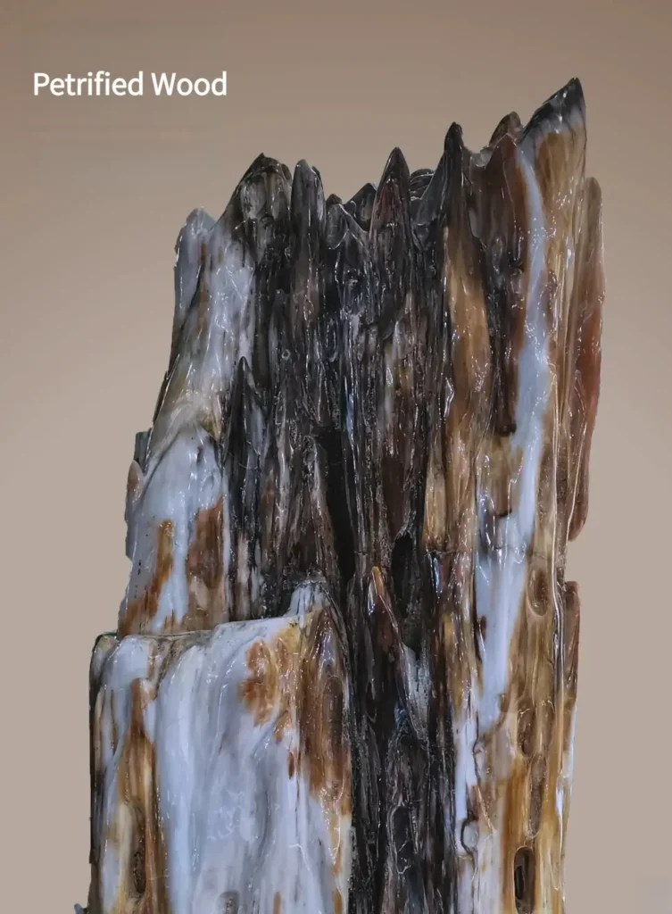 A polycrystalline silicified wood specimen showing preserved organic textures replaced by quartz.