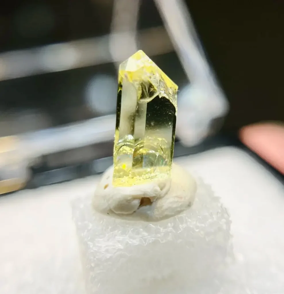 Several yellow hexagonal prismatic apatite crystals showing a natural vitreous luster and tabular forms.