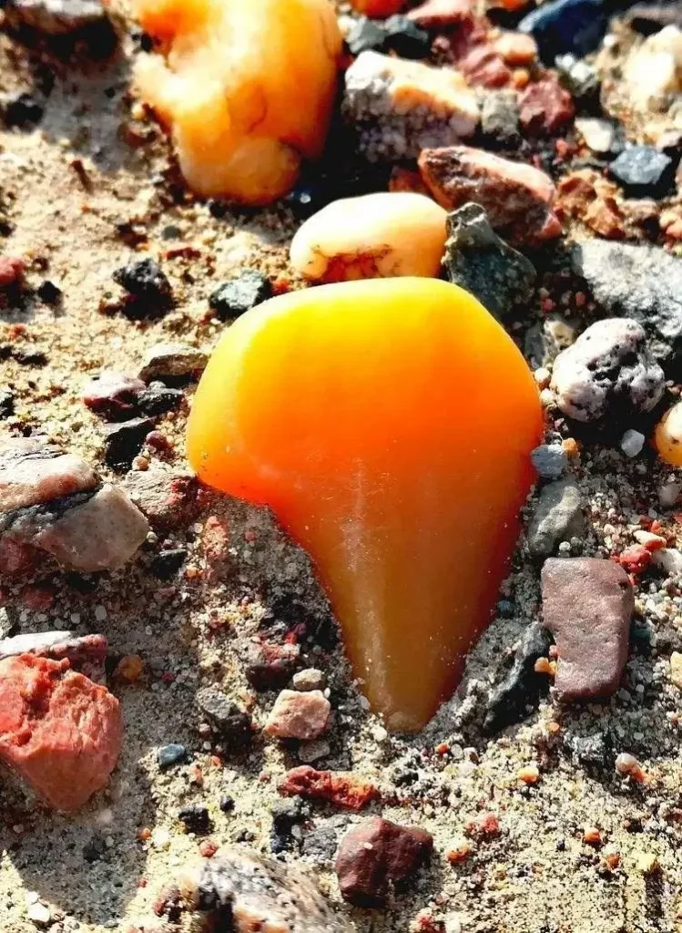A close-up of a Jinsi Yu stone half-buried in the Xinjiang Gobi Desert.