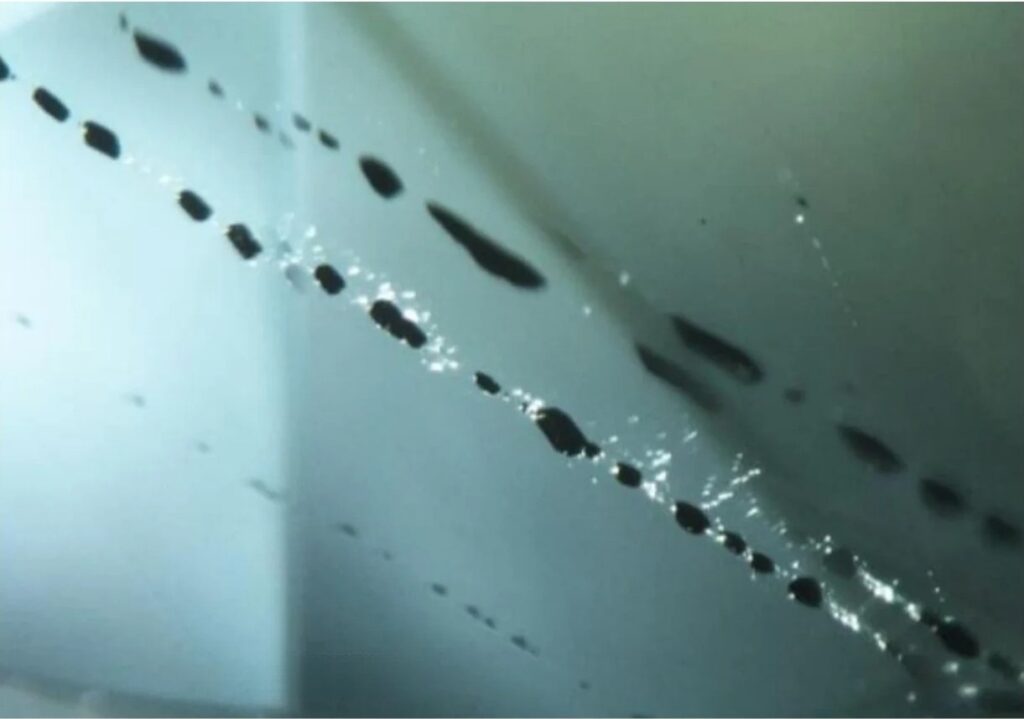 Microscopic view of opaque black chromite inclusions within an Australian sapphire Australia gemstone.