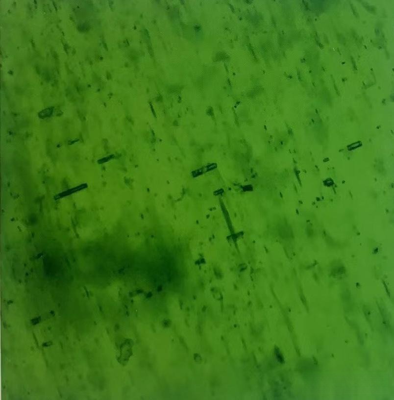 Photomicrograph of Tanzanian emerald showing two sets of oriented fluid inclusions.