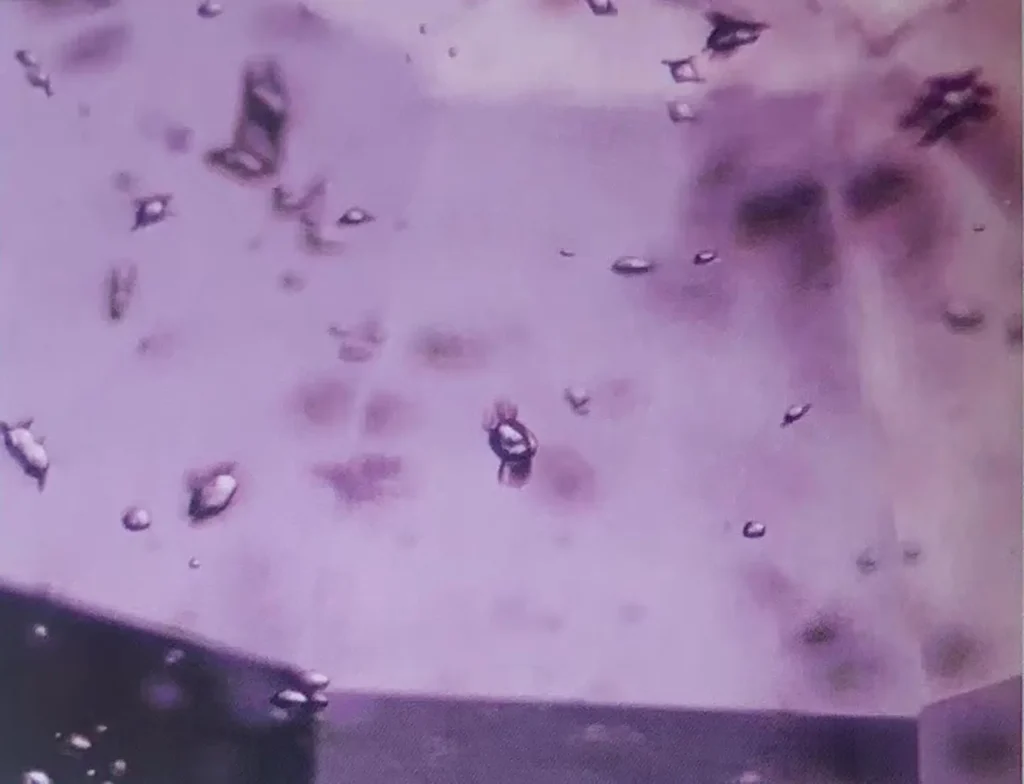 Photomicrograph of rounded transparent zircon with wing-like feathers in a Tunduru sapphire.