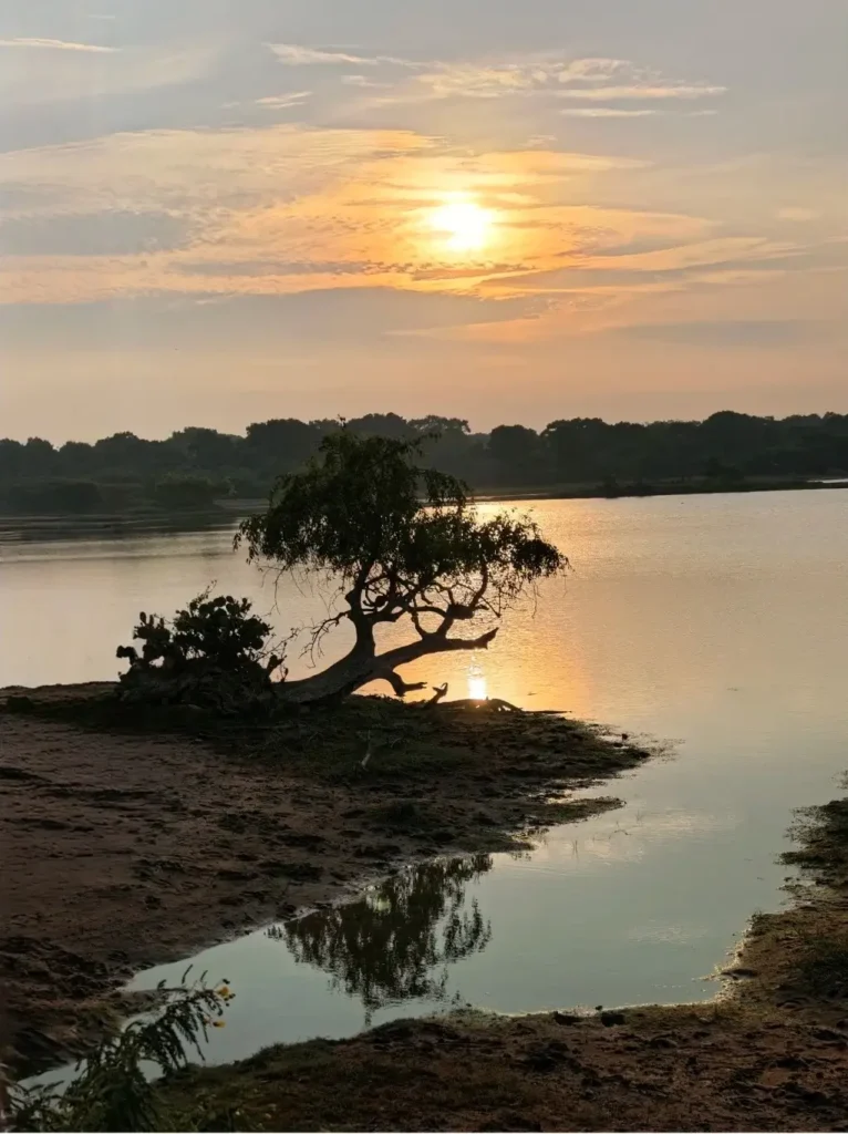 Vibrant orange sunset reflecting on a calm lake in Yala National Park, Sri Lanka with tree silhouettes.