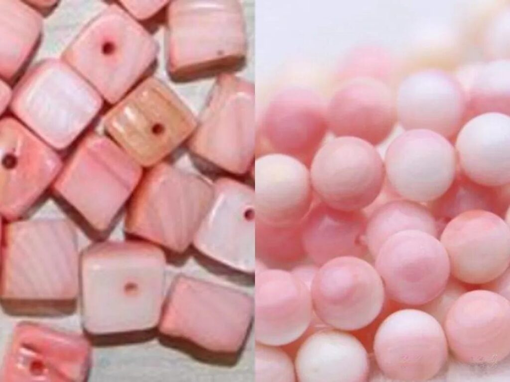 Side-by-side comparison of dyed shell and natural Queen conch as common red coral imitations.