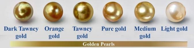 Golden South Sea pearl color showcasing saturation from Pale Gold to deep Orange-Gold.