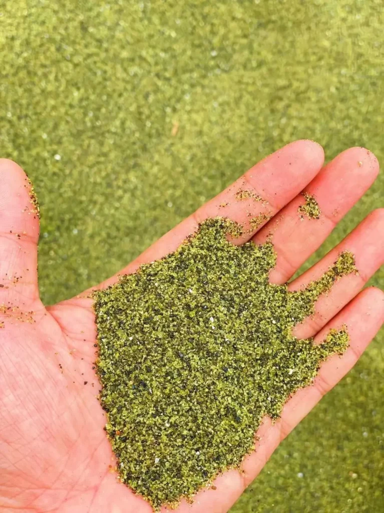 A close-up of a visitor holding a handful of vibrant green sand at Papakolea Beach.