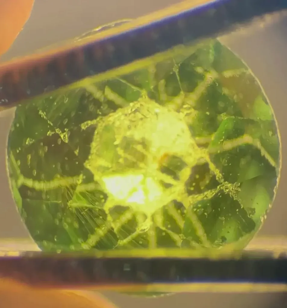Microscopic view: Radial fibrous horsetail inclusions inside a rare Russian Demantoid garnet.