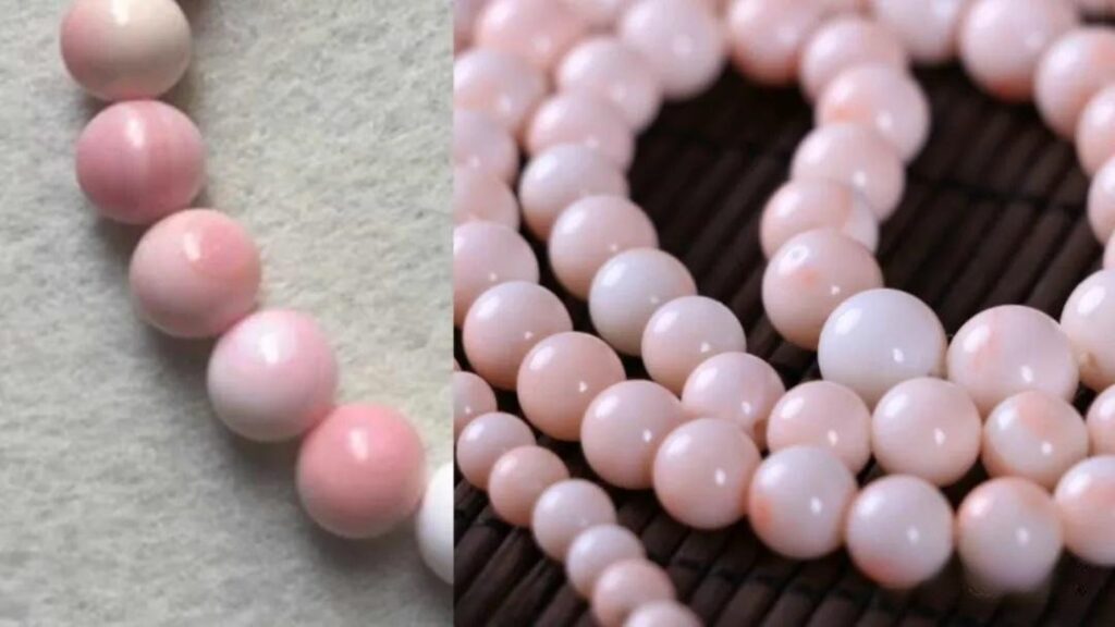 Side-by-side comparison of Queen conch shell beads and MOMO coral beads.