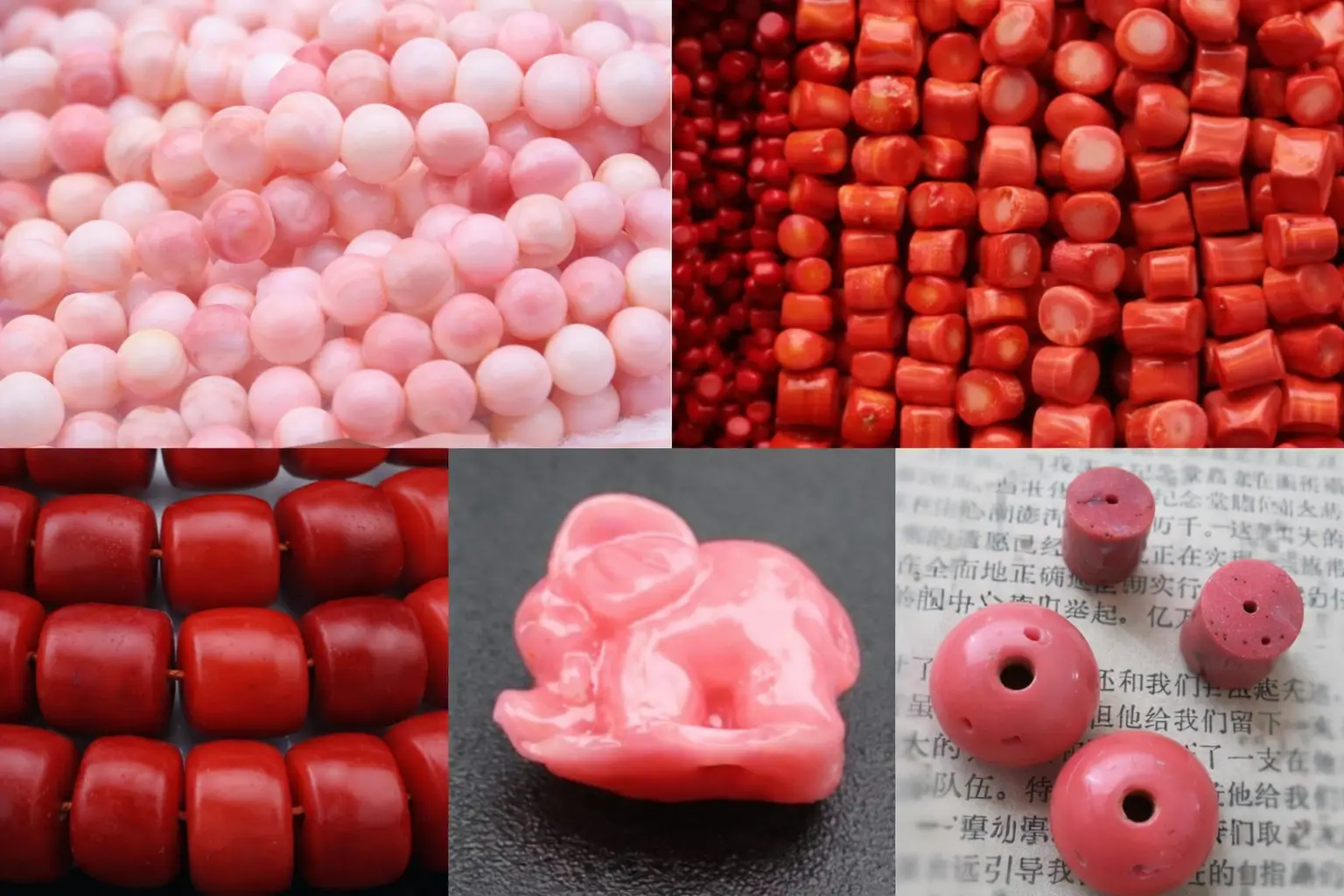 Comparative guide of genuine red coral vs. common imitations like bamboo, shell, and plastic.
