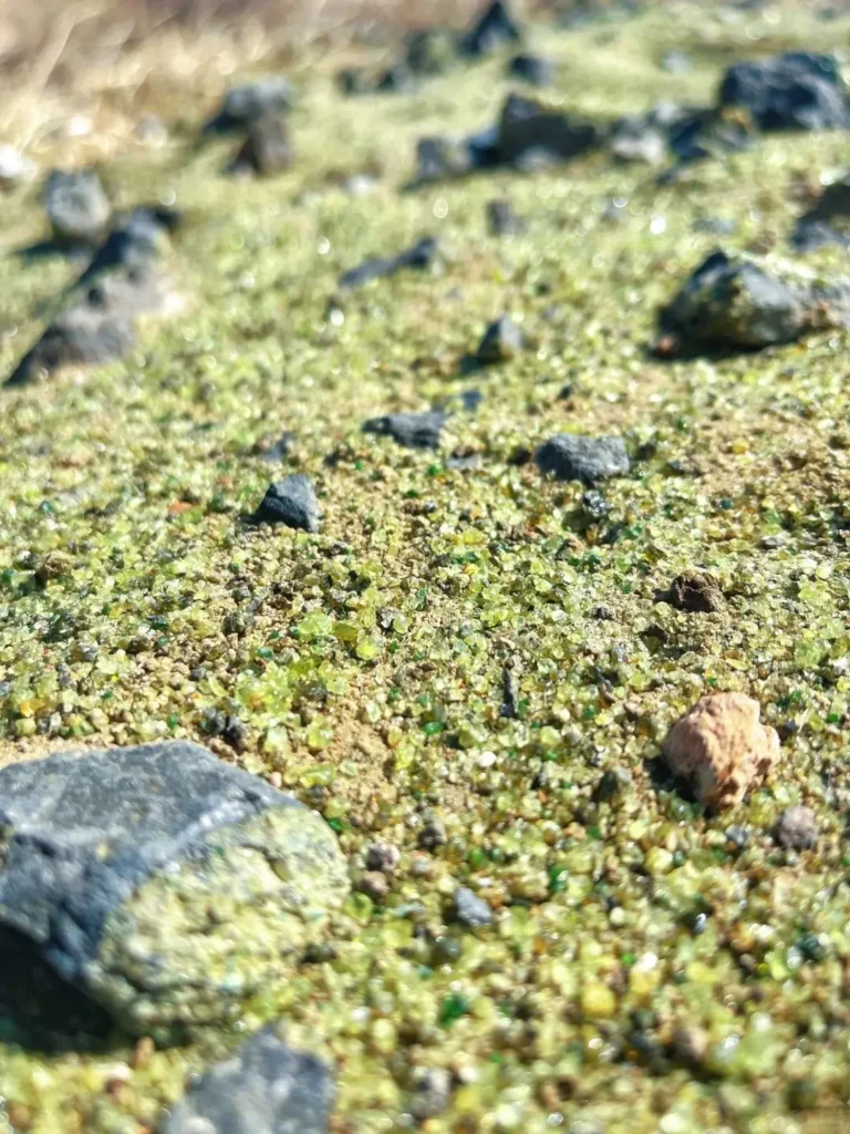 Vibrant green peridot crystals glinting across jagged black volcanic rock during a gemstone trek.