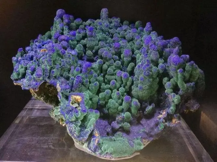 A mineral specimen showcasing deep blue azurite crystals growing alongside vibrant green malachite.